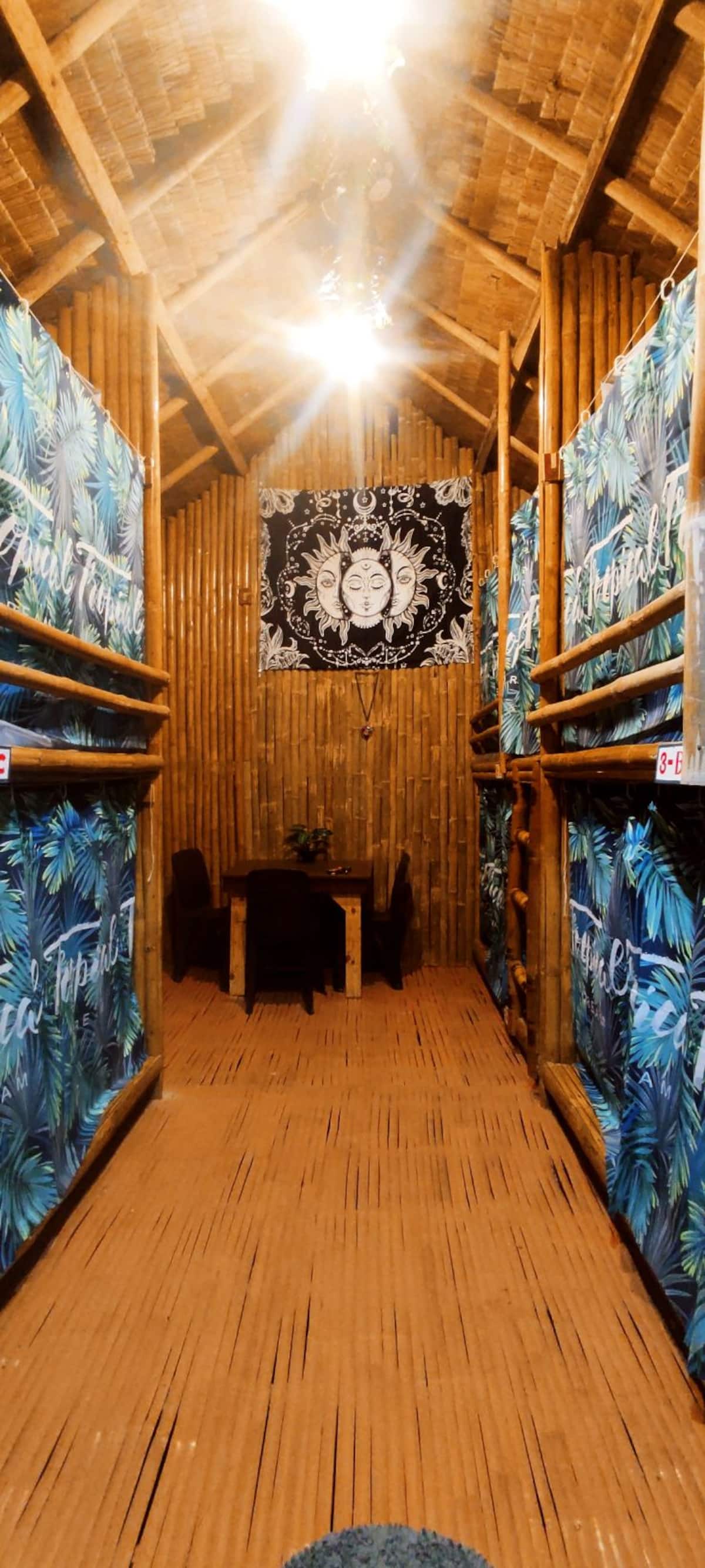 A unique and Native accomodation photo 2